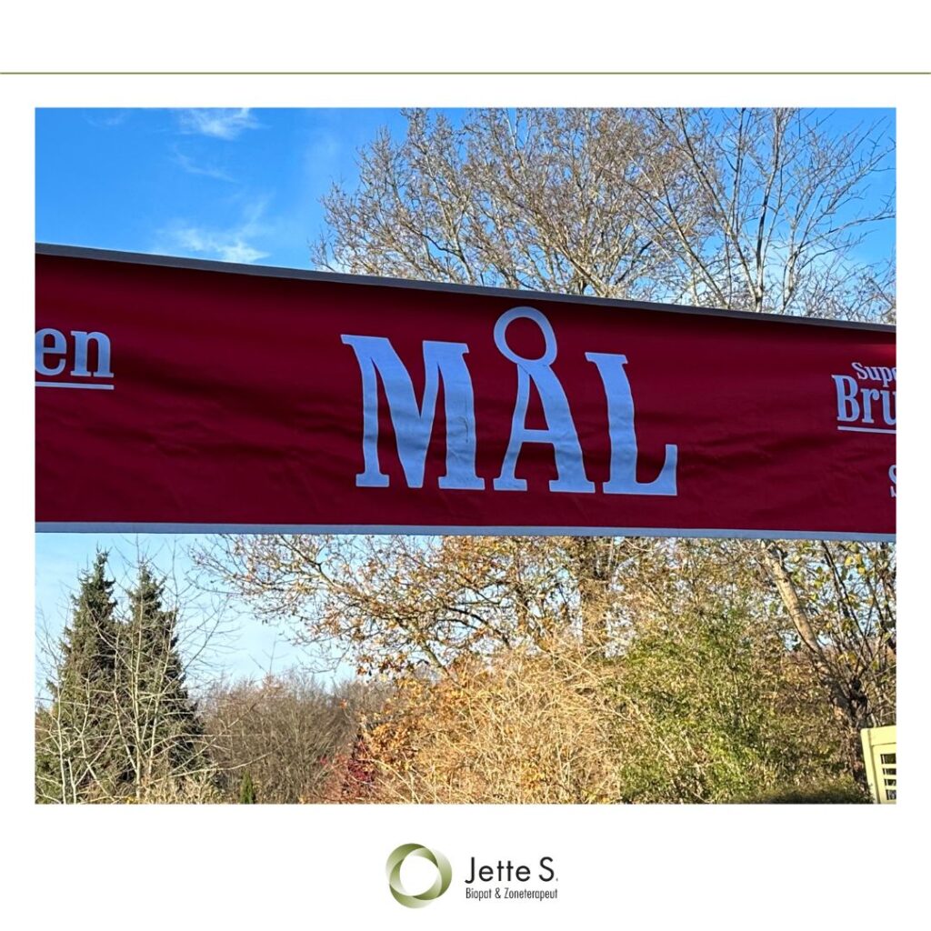 du kan mere end du tror